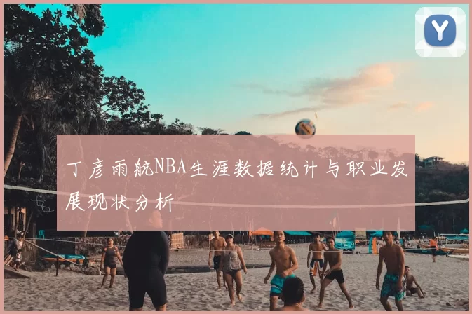 丁彦雨航NBA生涯数据统计与职业发展现状分析