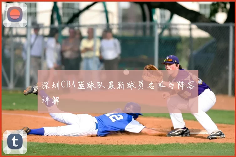 深圳CBA篮球队最新球员名单与阵容详解