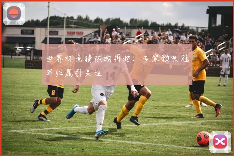 世界杯竞猜热潮再起:专家预测冠军归属引关注