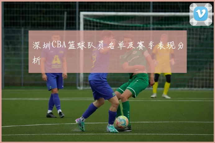 深圳CBA篮球队员名单及赛季表现分析