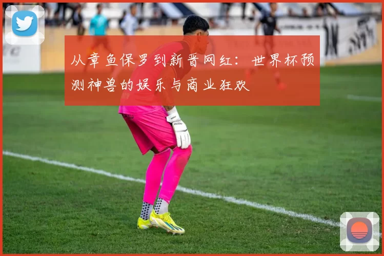 从章鱼保罗到新晋网红:世界杯预测神兽的娱乐与商业狂欢
