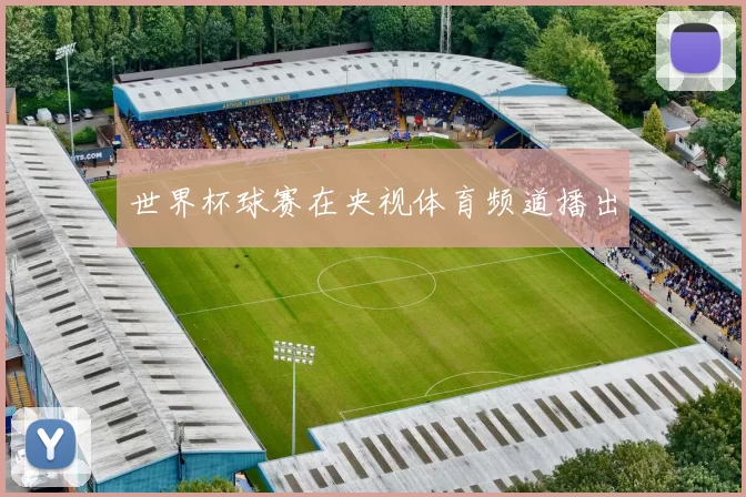 世界杯球赛在央视体育频道播出