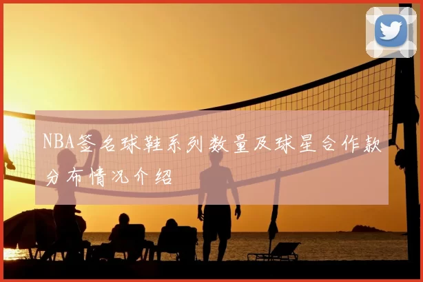 NBA签名球鞋系列数量及球星合作款分布情况介绍