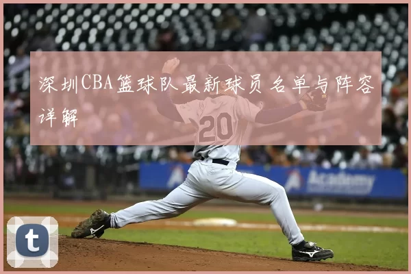 深圳CBA篮球队最新球员名单与阵容详解