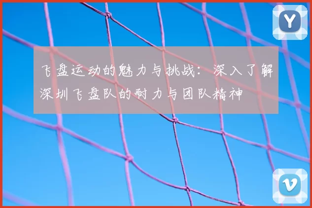飞盘运动的魅力与挑战:深入了解深圳飞盘队的耐力与团队精神