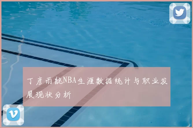 丁彦雨航NBA生涯数据统计与职业发展现状分析