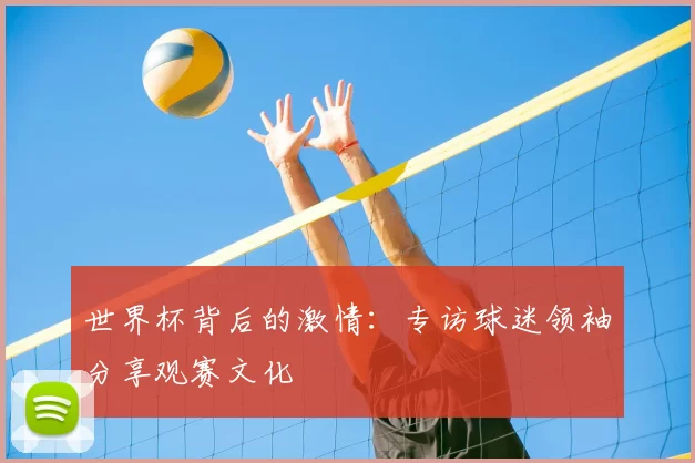 世界杯背后的激情：专访球迷领袖分享观赛文化