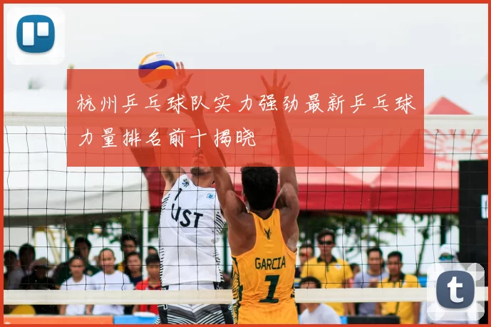 杭州乒乓球队实力强劲最新乒乓球力量排名前十揭晓