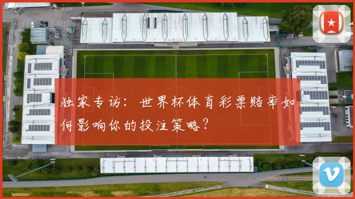 独家专访:世界杯体育彩票赔率如何影响你的投注策略?