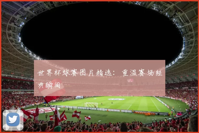 世界杯球赛图片精选：重温赛场经典瞬间