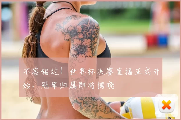 不容错过!世界杯决赛直播正式开始,冠军归属即将揭晓