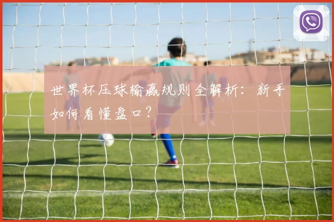 世界杯压球输赢规则全解析：新手如何看懂盘口？