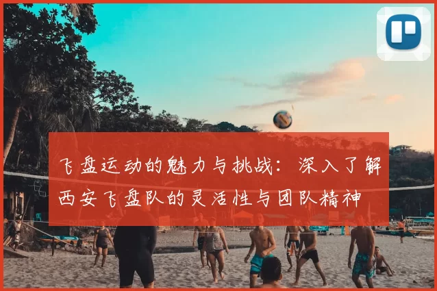 飞盘运动的魅力与挑战：深入了解西安飞盘队的灵活性与团队精神