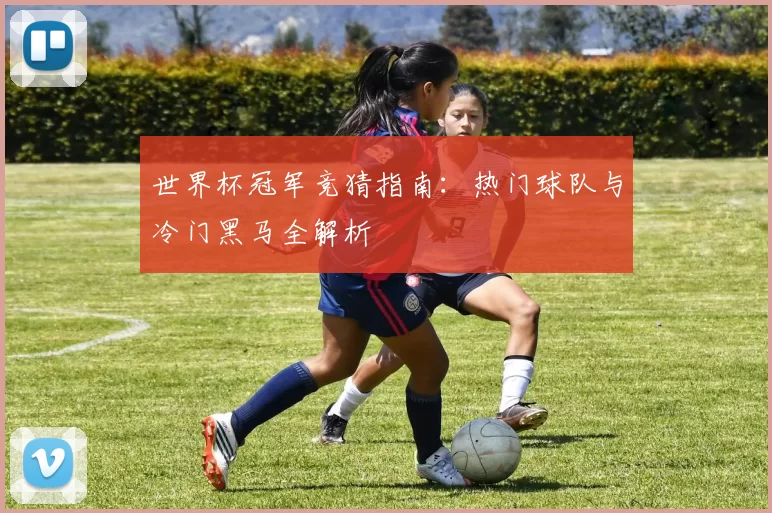 世界杯冠军竞猜指南：热门球队与冷门黑马全解析