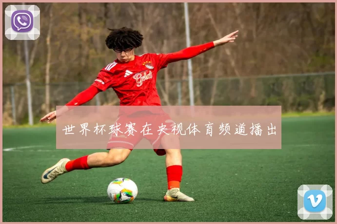 世界杯球赛在央视体育频道播出