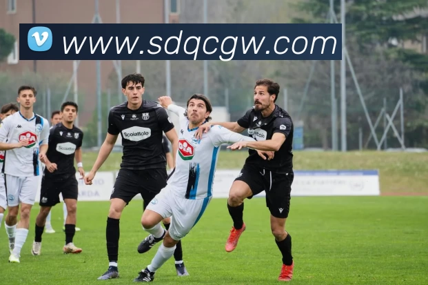 App Interface Preview